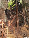 Del Viento Cave - ISABELA